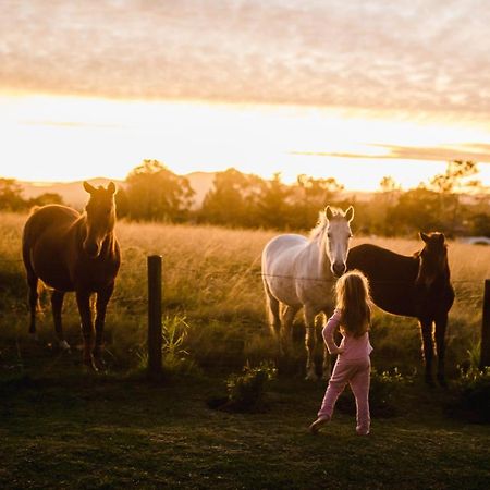 הוילה קניסנה Fernhill Guest Farm מראה חיצוני תמונה