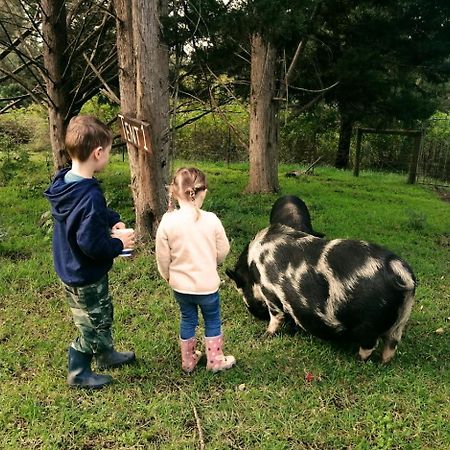 הוילה קניסנה Fernhill Guest Farm מראה חיצוני תמונה
