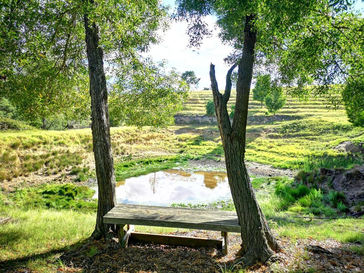 הוילה קניסנה Fernhill Guest Farm מראה חיצוני תמונה