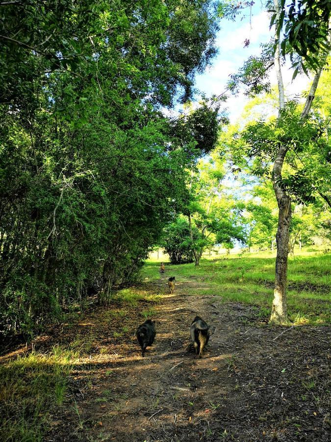 הוילה קניסנה Fernhill Guest Farm מראה חיצוני תמונה