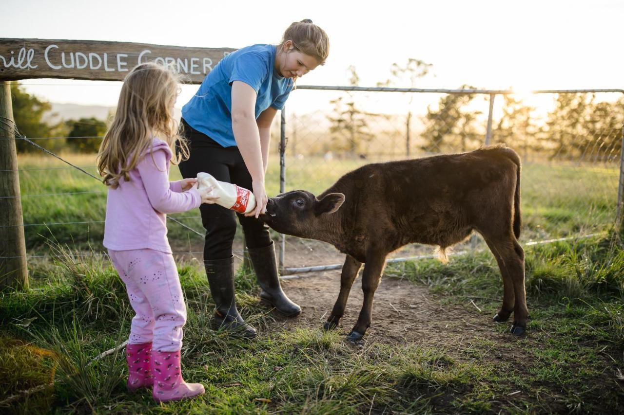 הוילה קניסנה Fernhill Guest Farm מראה חיצוני תמונה