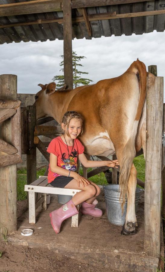 הוילה קניסנה Fernhill Guest Farm מראה חיצוני תמונה