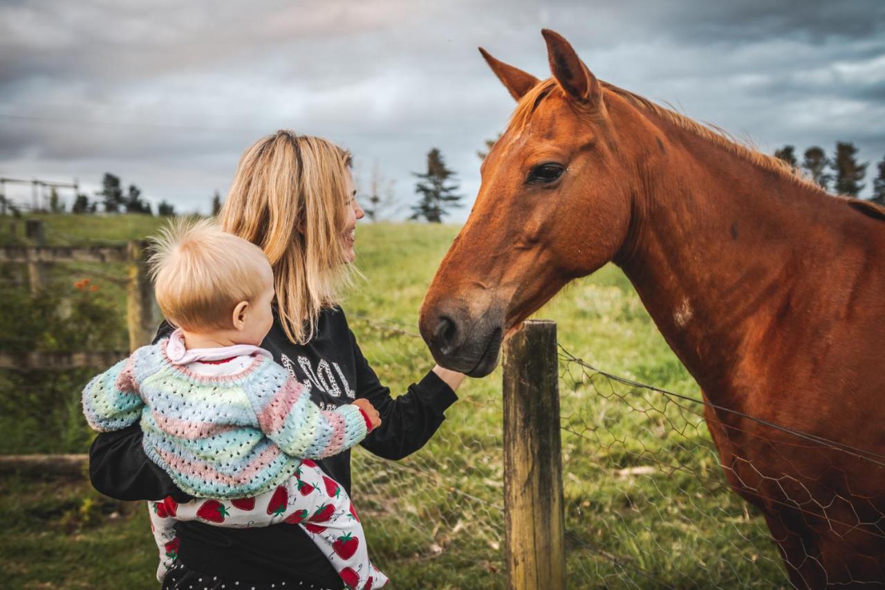 הוילה קניסנה Fernhill Guest Farm מראה חיצוני תמונה