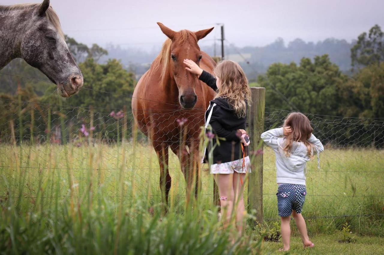 הוילה קניסנה Fernhill Guest Farm מראה חיצוני תמונה