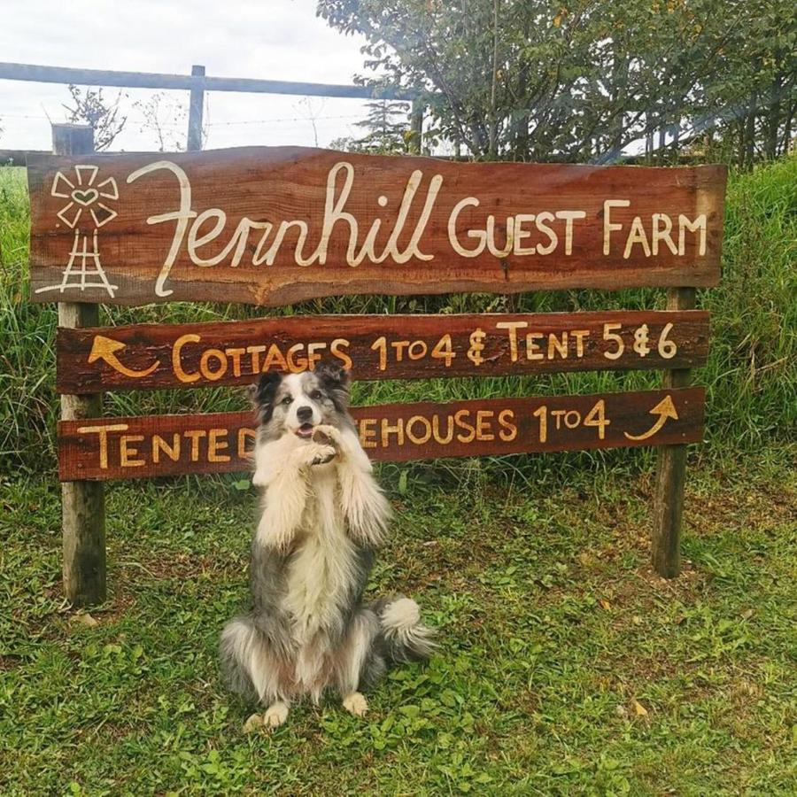 הוילה קניסנה Fernhill Guest Farm מראה חיצוני תמונה