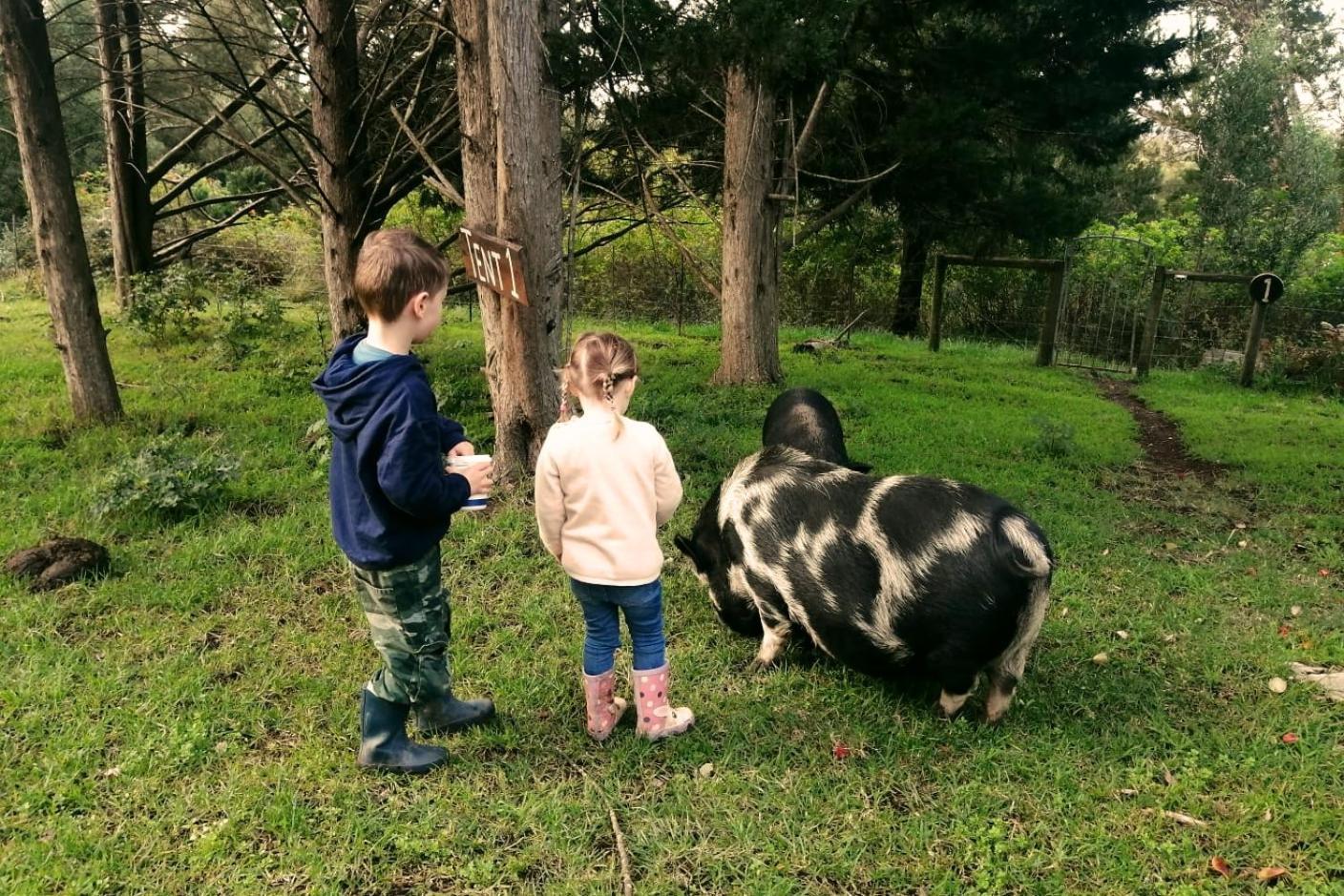 הוילה קניסנה Fernhill Guest Farm מראה חיצוני תמונה
